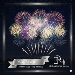 Pack Silver – Feu d’artifice de 11 min livré avec télé artificier